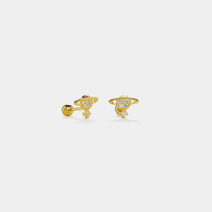 Pair of gold earrings on a white background