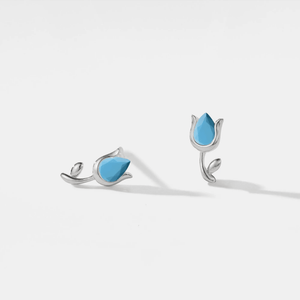 Pair of silver earrings with blue gemstones on a white background