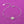 Silver bracelet with a daisy charm on a purple background